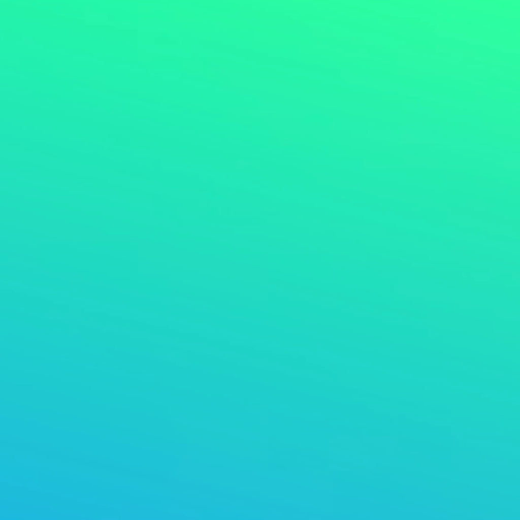 WonderVibes Meditation Cushion (Zafu)